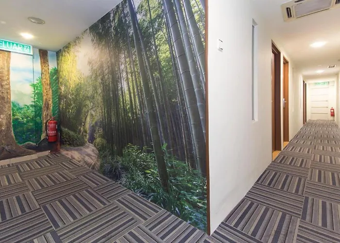 Rain Forest Hotel