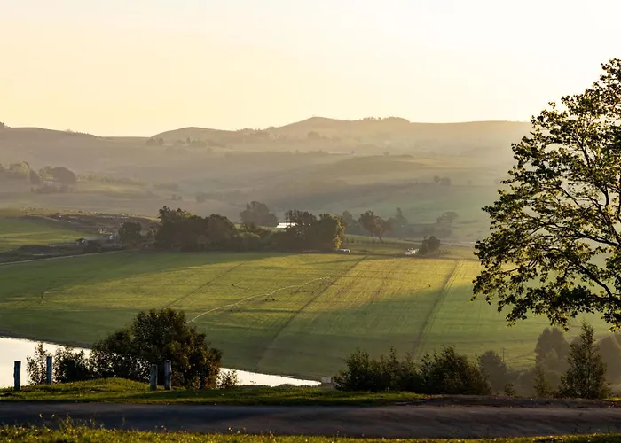 Saxony Saddle & Trout