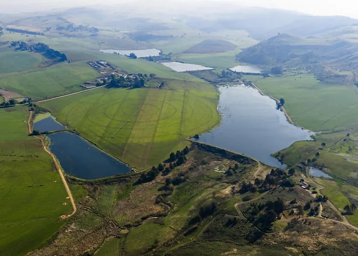 Saxony Saddle & Trout
