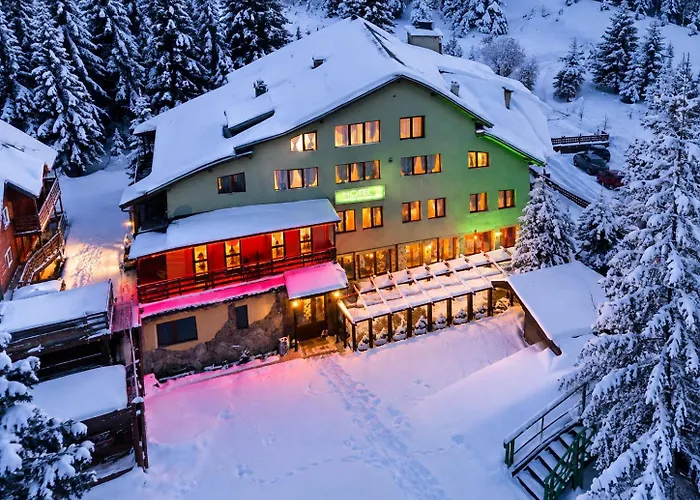 Hotel Forest Star On The Ski Slope