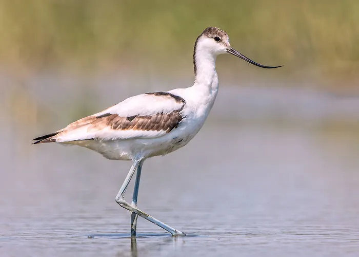 BE BIO Hotel be natural - direkt am Wasser