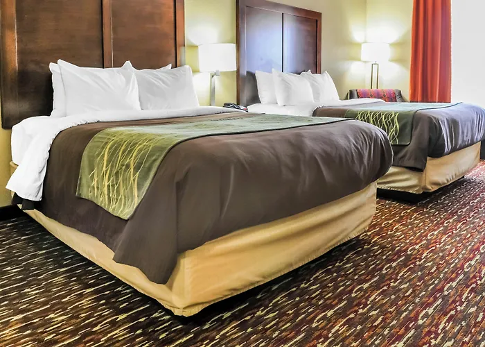 Comfort Inn & Suites Artesia