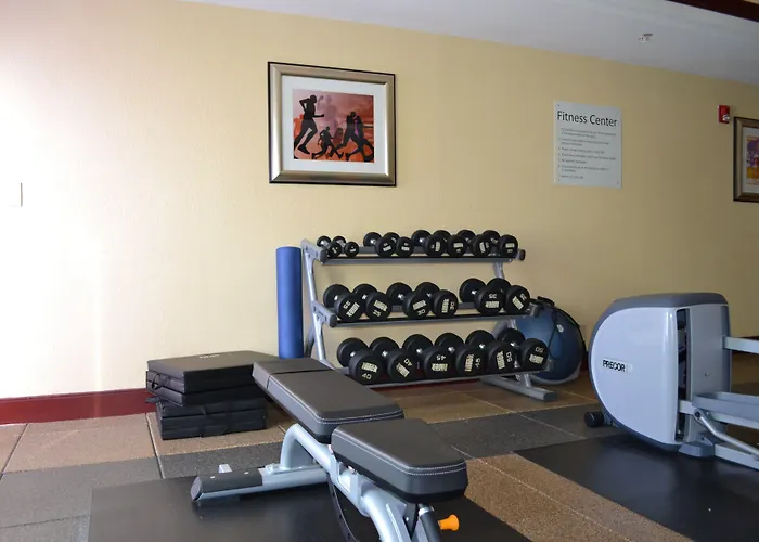 Holiday Inn Express & Suites Gainesville By Ihg