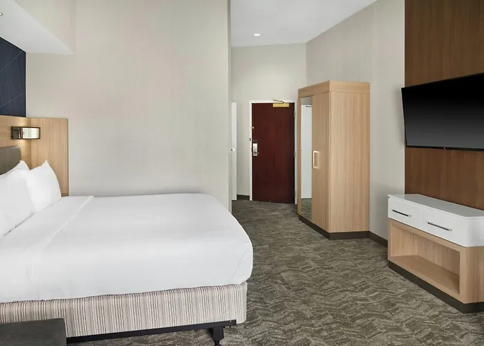Springhill Suites By Marriott Lansing West