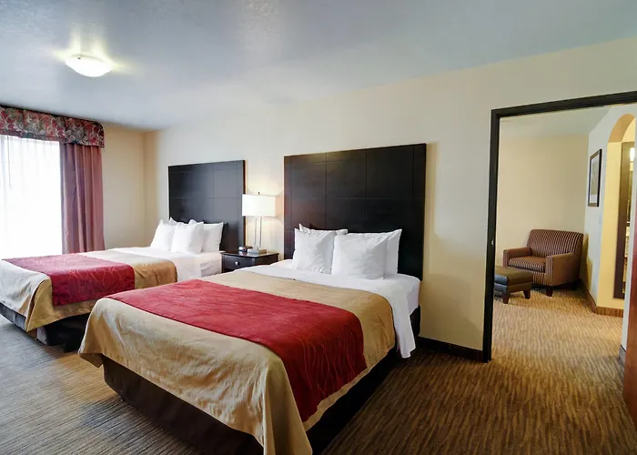 Comfort Inn & Suites Amarillo West Near Medical Center