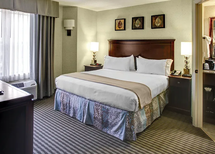 Holiday Inn Express Hotel & Suites Atlanta Buckhead By Ihg