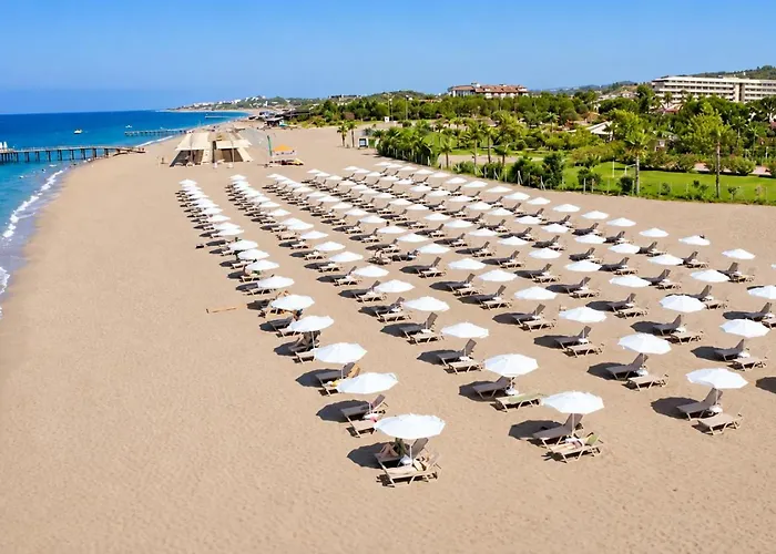 Alarcha Hotels & Resort