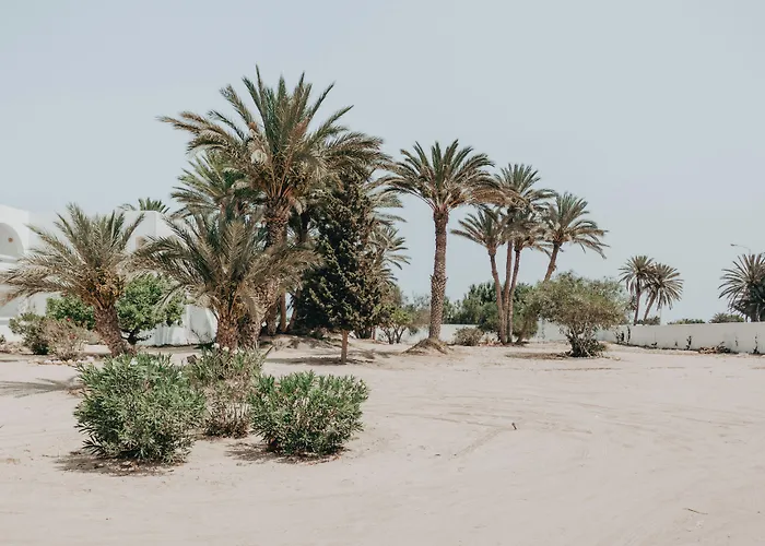 Hotel Bougainvillier Djerba