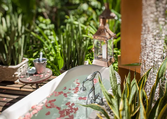 Toca Da Coruja - Eco Luxury Retreat