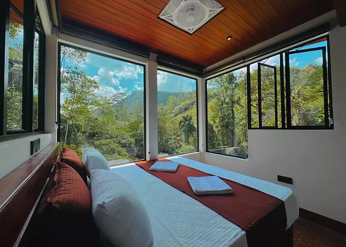 Rainforest cabin