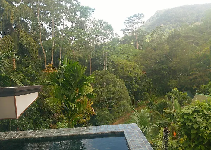 Rainforest cabin