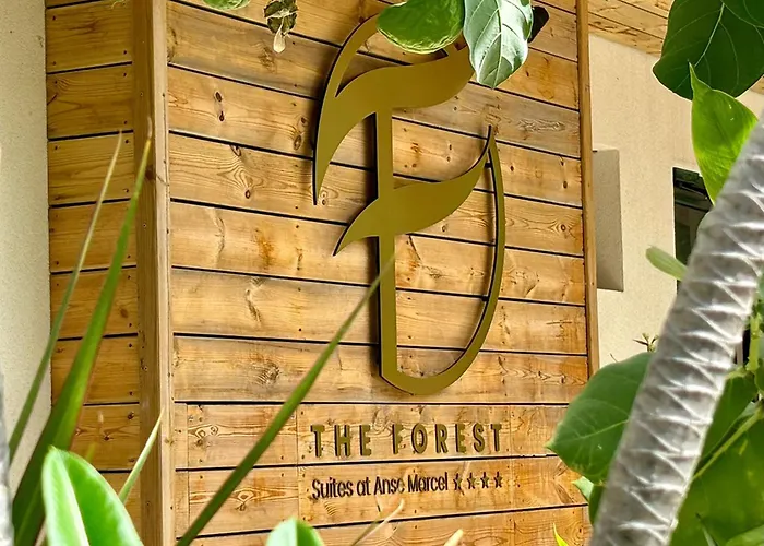 The Forest Suites At Anse Marcel Boutique Hotel Et Restaurant