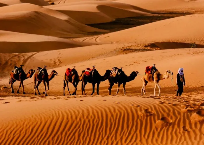 Sunset Dunes Luxury Camp