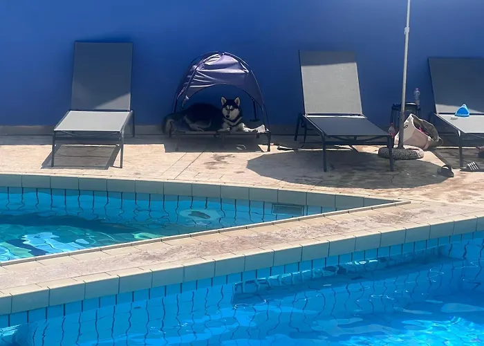 Hotel Alemagna B&B Lido Del Sole Pet Friendly Bibione
