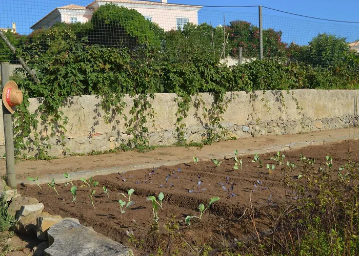 Casalinho De Santo António Acomodação com café da manhã Sintra