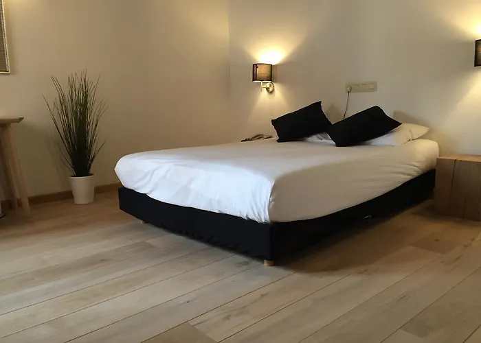 Hotel Le Cygne D'Argent