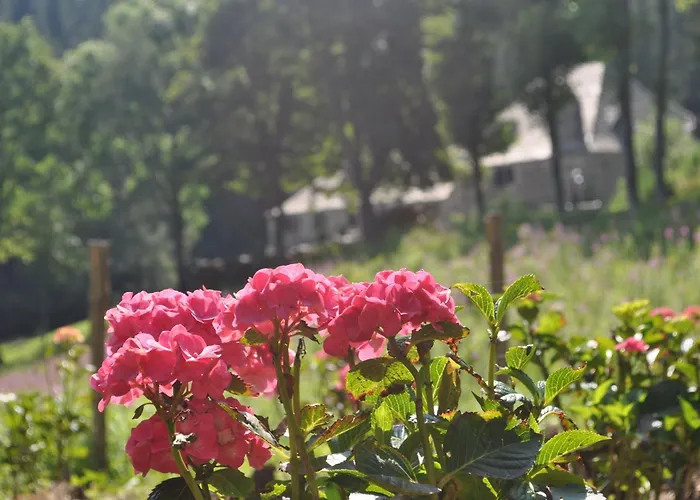 Domaine du Lac Ferrand