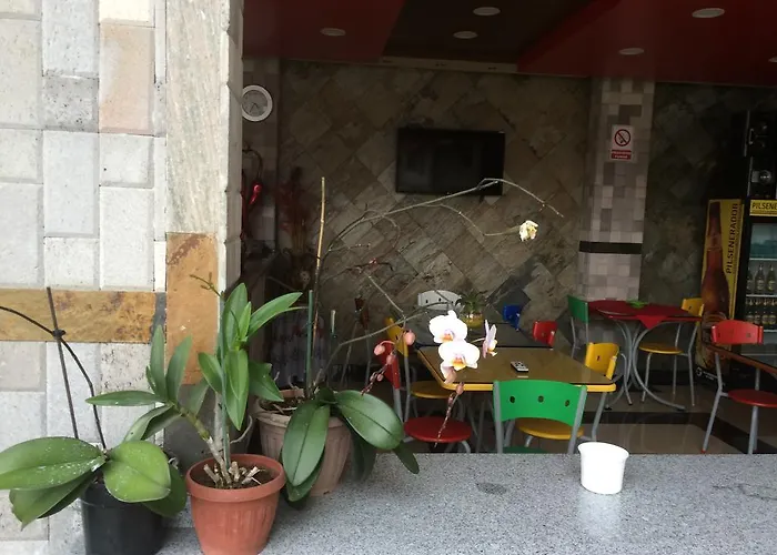 Hotel Joya De La Selva