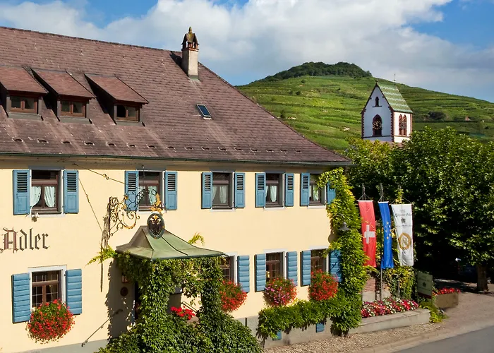 Schwarzer Adler