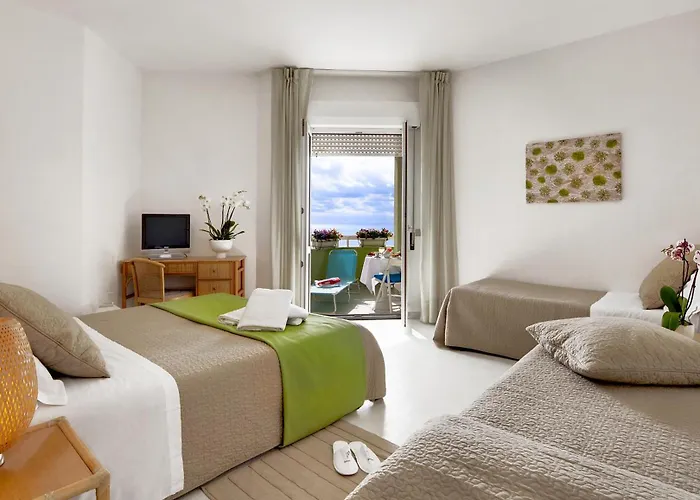 Hotel Mida