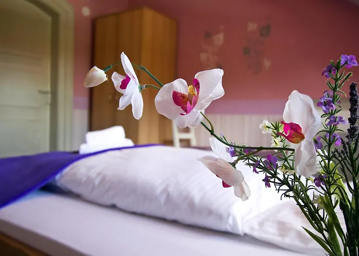 Hotel Neun 3/4 Celle