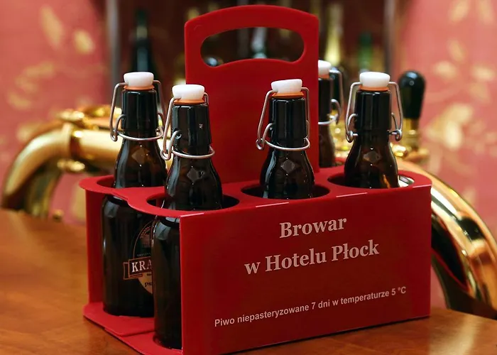 Hotel Plock