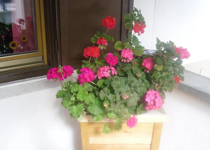 Garni Margherita