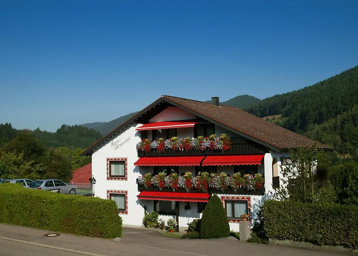 Haus Bergwiese Baiersbronn