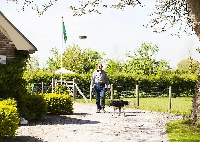 Bed&Breakfast Klein Groenbergen