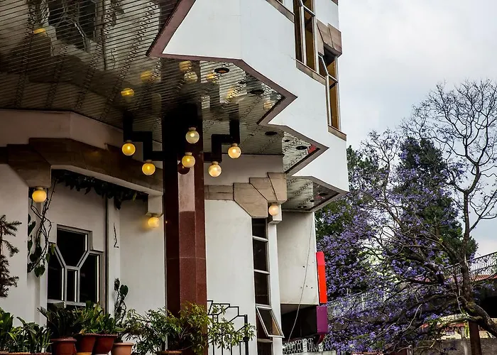 Hotel Pegasus Crown