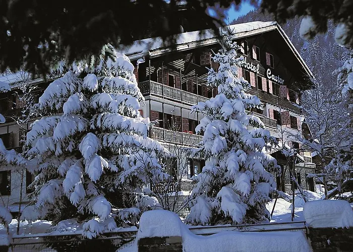 Hotel Castor