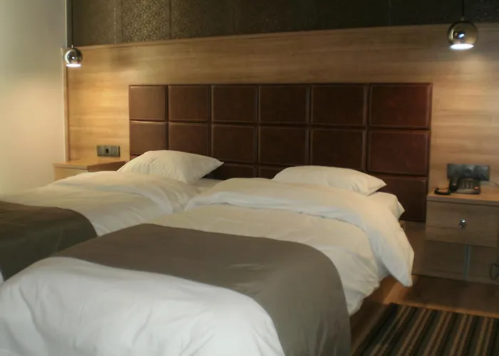 Metropolis Hotel