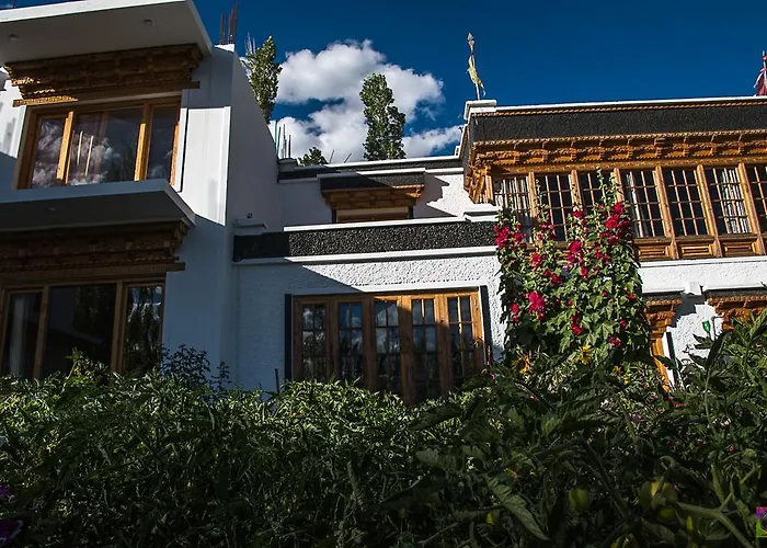 Shaolin Ladakh