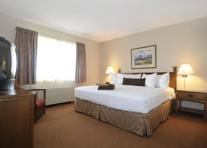 Best Western Golden Buff Lodge