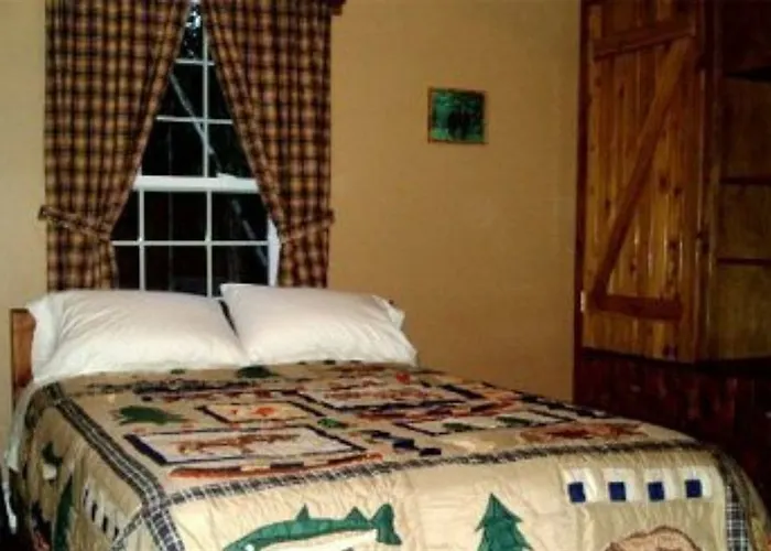 Blonde Bear Bed And Breakfast