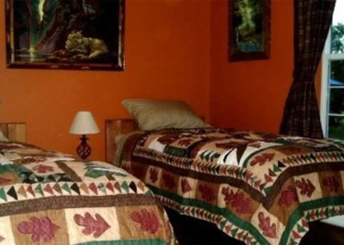 Blonde Bear Bed And Breakfast