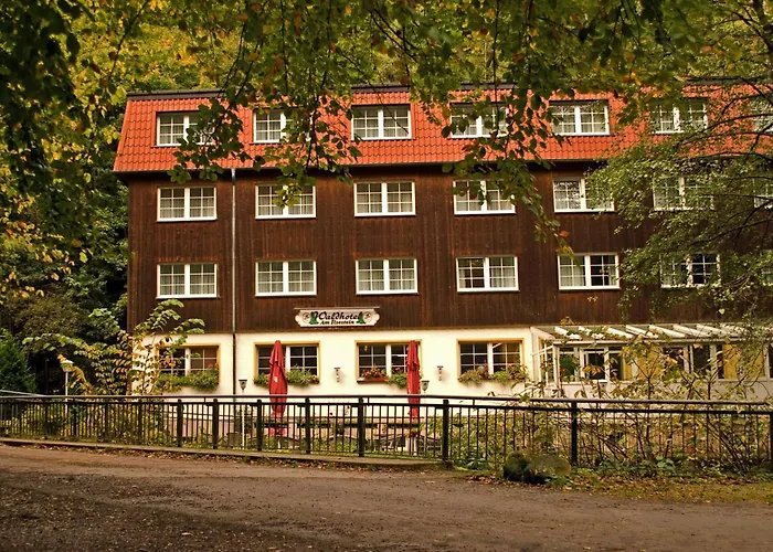 Waldhotel Am Ilsestein