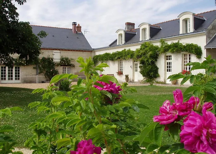 Hotel La Jarillais à Saumur
