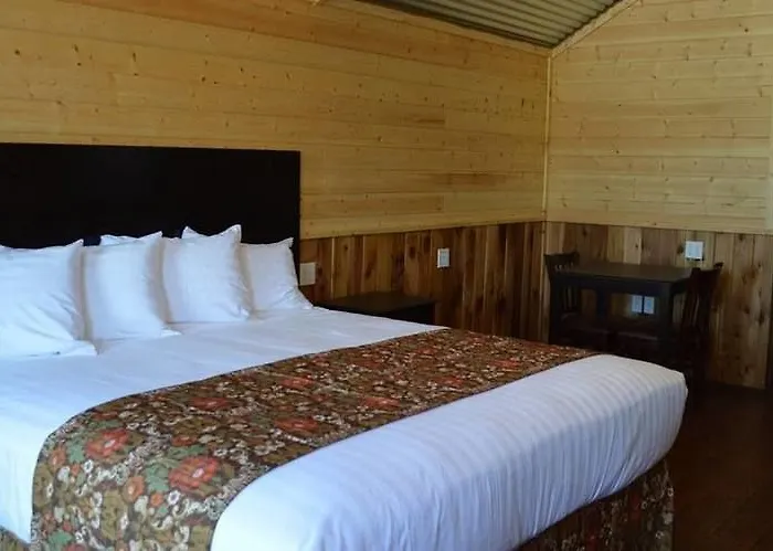 Lone Star Lodge