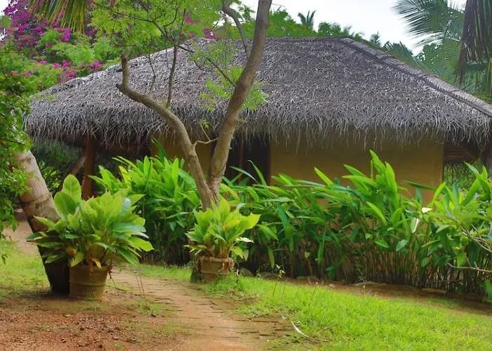 Mangrove Beach Cabana