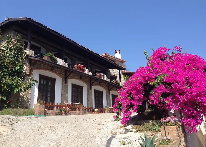 Loca Hotel