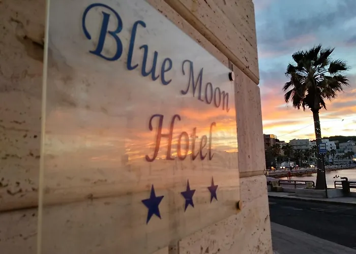 Blue Moon Hotel
