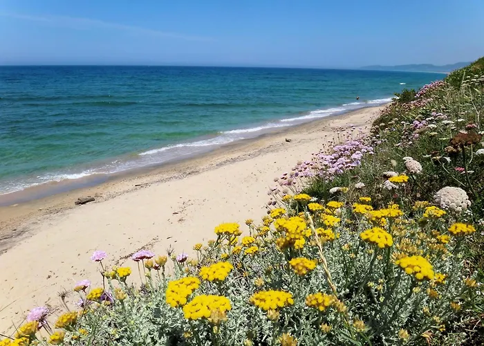 Hotel La Tartaruga Bianca