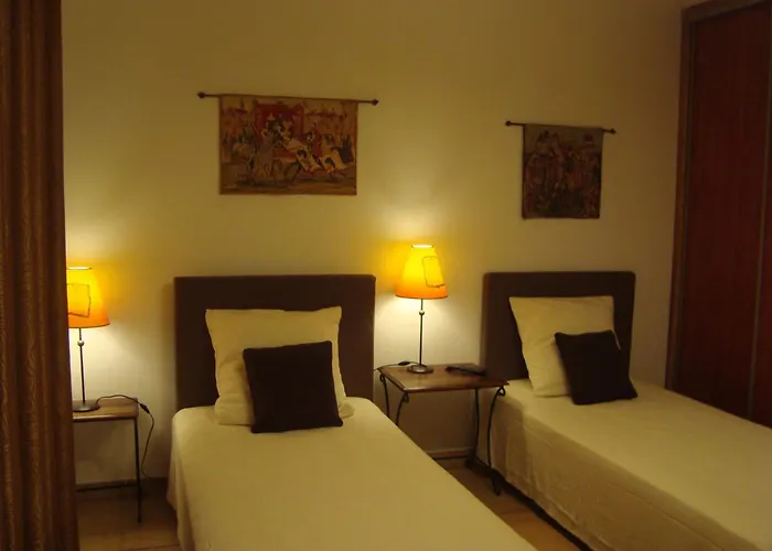 Chambres D'Hotes Les Palmiers De La Cite Carcassonne