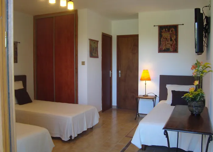 Chambres D'Hotes Les Palmiers De La Cite Carcassonne