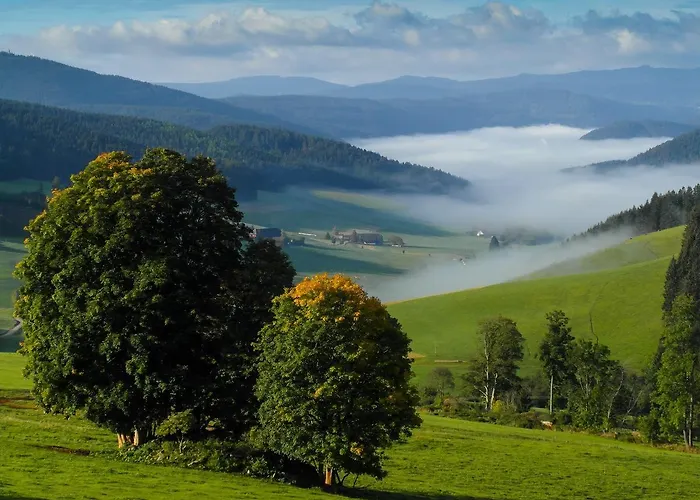 Schwarzwaldgasthaus Salenhof