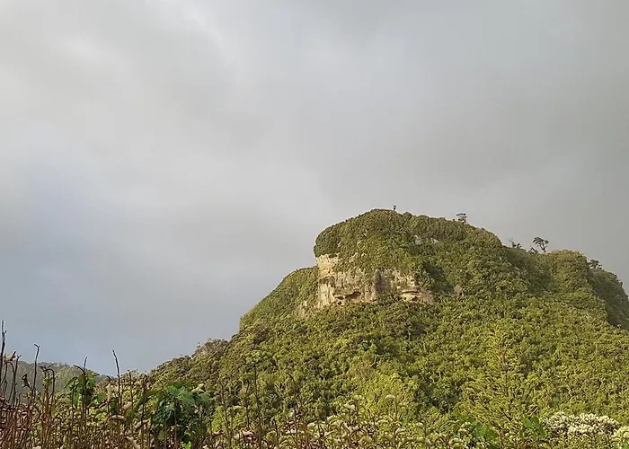 Punakaiki Rocks Hotel & Garden Bar