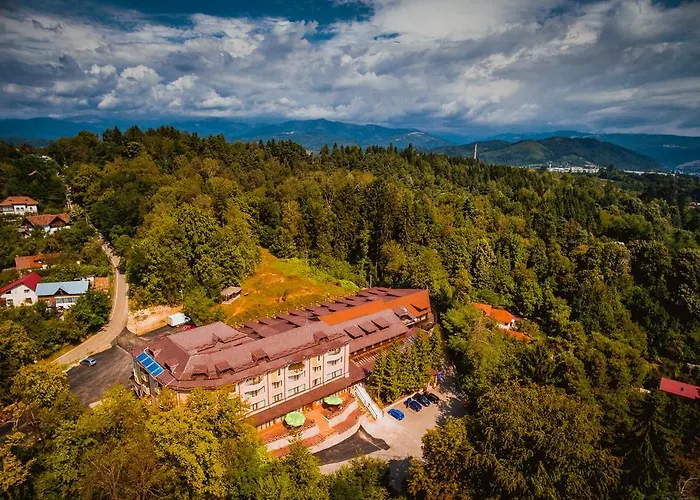 Hotel Ciobanasu