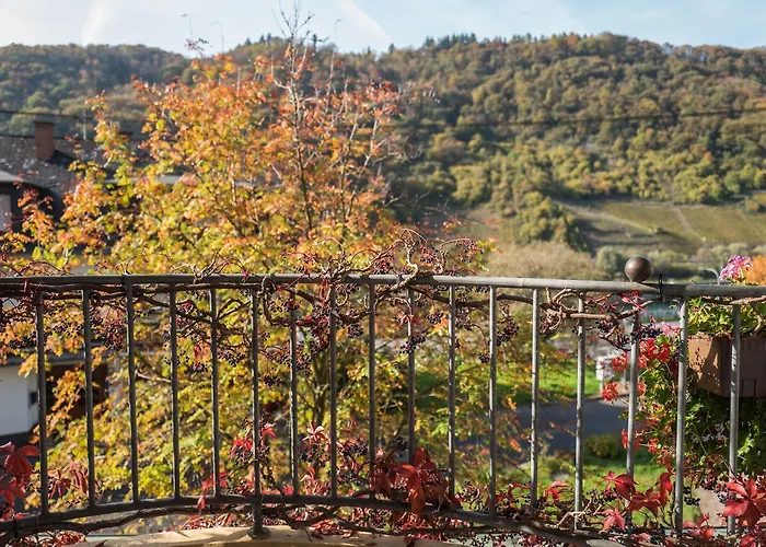 Hotel Merle