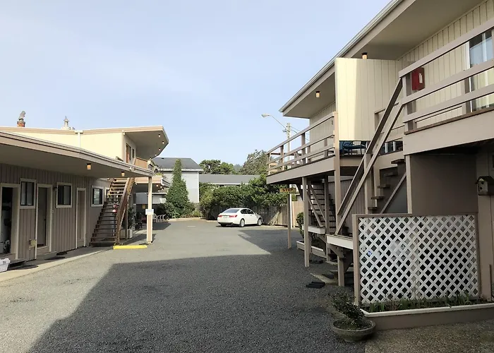 Webb'S Scenic Surf